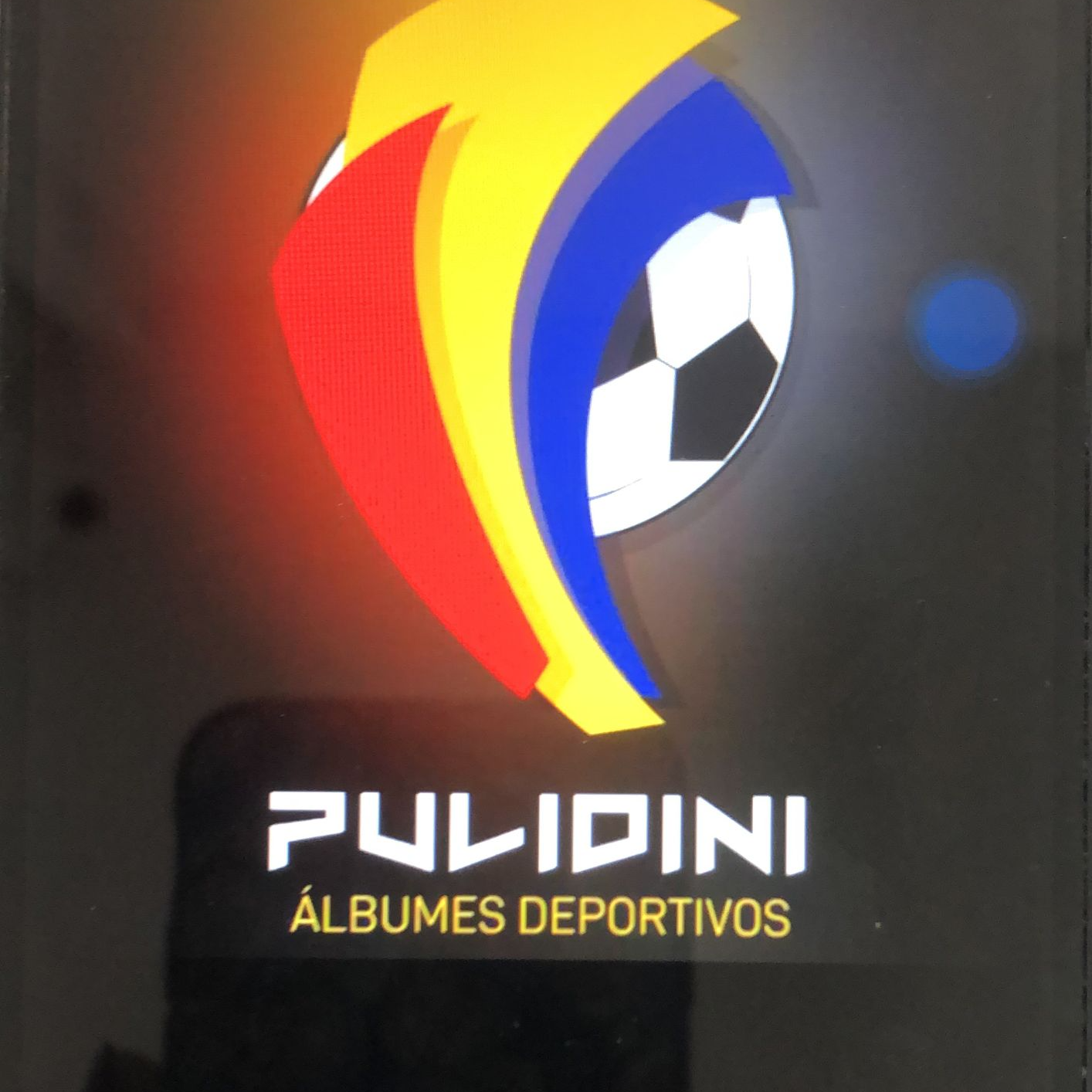 casa editorial pulidini sas