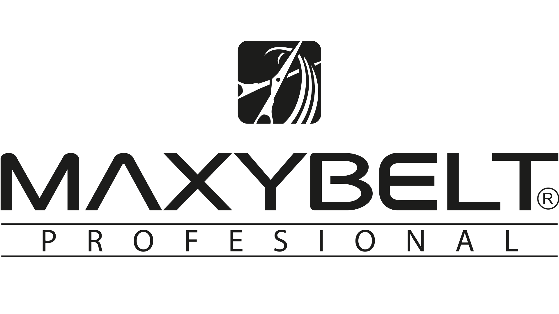 Maxybelt
