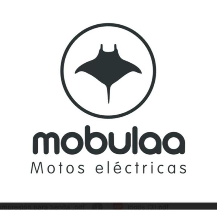 Mobulaa Meta
