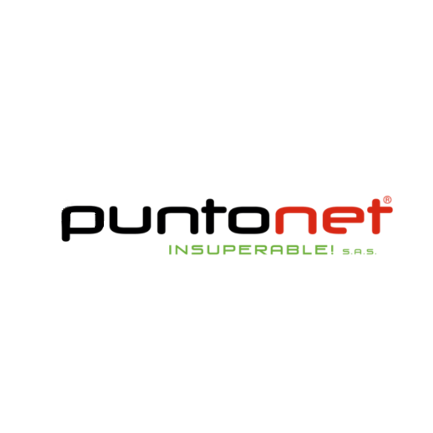Punto Net