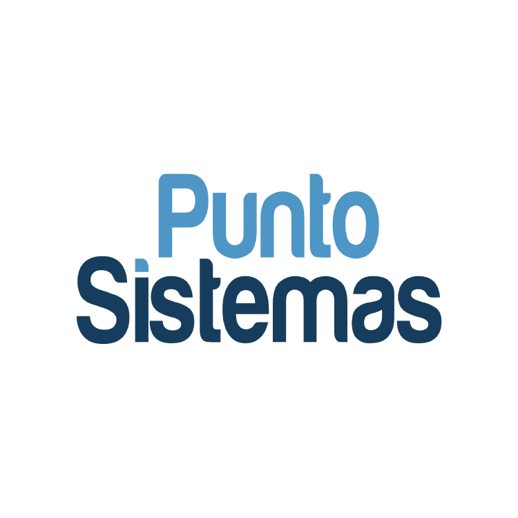 PUNTO SISTEMAS