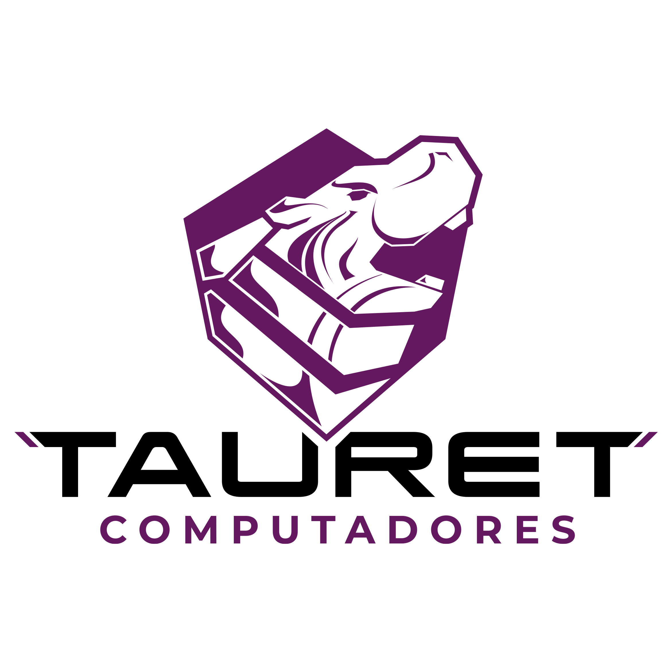 TAURET COMPUTADORES