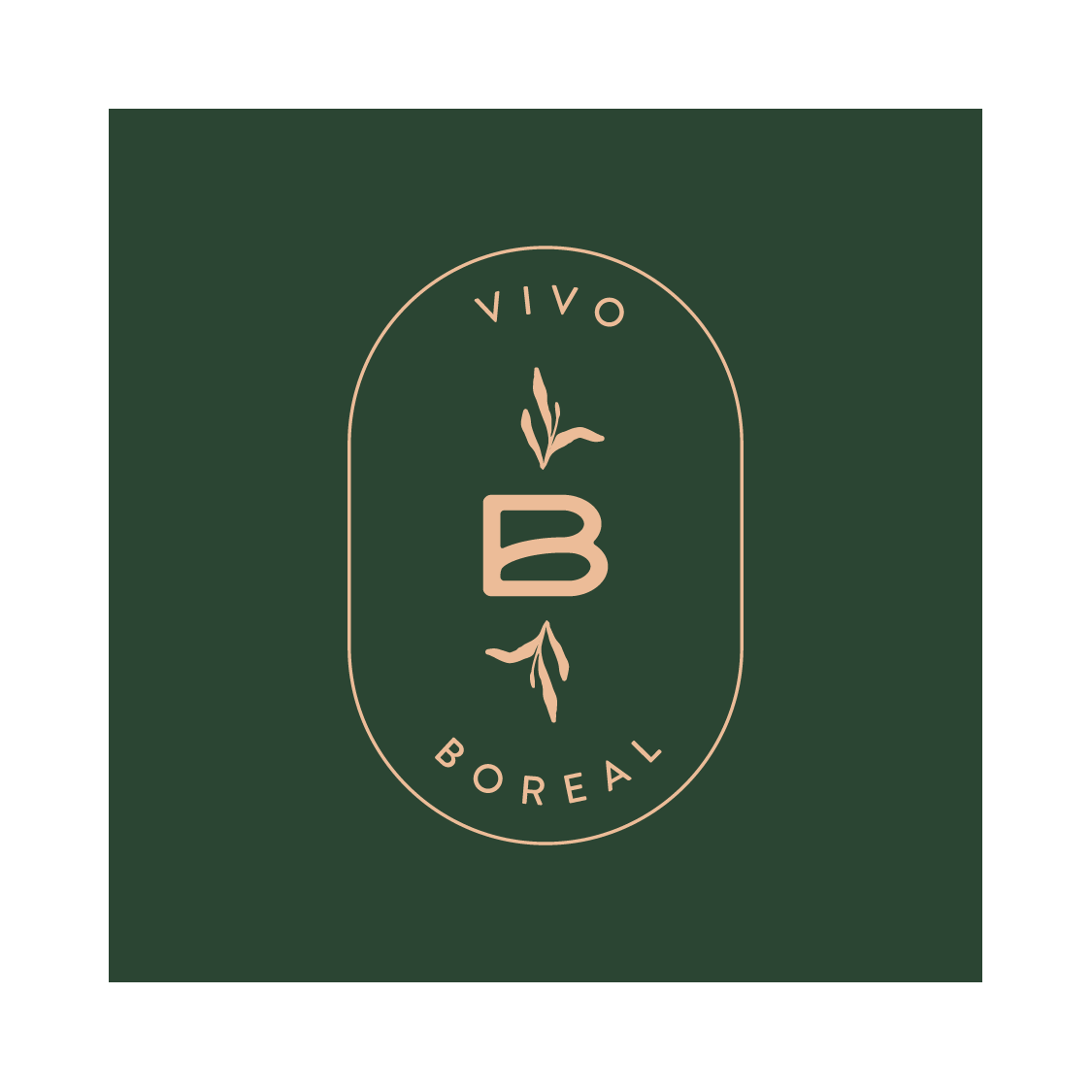 Vivo Boreal